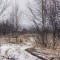 2e2-p1dn276kaj17c91g9j1gf4age51b4.jpg