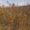 57b-p1dncds8hbnn31hg4kol9b21qfr5.jpg