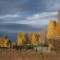623-p1dlmiptob1fec18ak26najpkug4.jpg