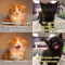 867-p1egljn6hkkf91tr31h4o19vlf854.png