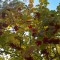 9af-p1dledbaa218g93711k1tlphs2rd.jpg