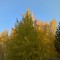 9af-p1dledbaa517j2e0014t41ahb1ti1j.jpg