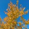 9af-p1dledbaa944se2lb571ba8munm.jpg