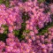 b08-p1dmapas9v1rtv1fus179qtbjif4.jpeg