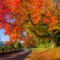 c4e-p1ffnb5qg71vijstp1i7o1f9nlhm6.jpg