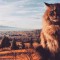 d3c-p1dm4otv9016hk1m2f15eu15gsh604.jpeg