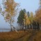 dbc-p1dlmivj001843195n1opm4mn16nn4.jpg
