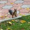 f34-p1dlmiuhmtnsqc83ko9nb5vtj4.jpg