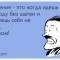 3f9-p1bqsp32od8j21v6j1rtk1gju1bfk4.jpg