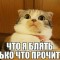 752-p1bs8ieb5vj1nr401h5dfek1m86s.jpg