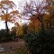 5d2-p1bt6mvt5jfas9d1p5fjbatia4.jpg