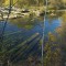c6d-p1btmk0qipsqu120bvje142m1dev4.jpg