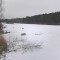 15b-p1bvcq4951178gjii1ah6159nmoi9.jpg