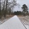 2f7-p1bvhlamue1ppk173k1q6mhh210h86.jpg