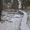 c8e-p1bvffvlkh1ahe12uj1g6q10631an94.jpg