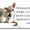 7f6-p1c58oq3d06731ffg1g9g2o51khf4.jpg