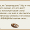 0e3-p1c0l3vbdh1k59cide1017g3u9h4.png