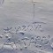0f1-p1c3ietthp1alc1u0j1ks91t6g10k54.jpg