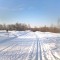 194-p1c3dakhkcknd6ff1ttc1o7017mj6.jpg