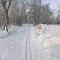 9c4-p1c3sko36m7uu137cf4b191o1b044.jpg