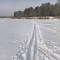 9c4-p1c3sko36n1eps1kl5cnhajv1dmq5.jpg