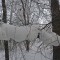 e59-p1c3skt33h1j6u118u1i0d1tct8is4.jpg