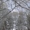 e59-p1c3skt33h65j93i4tuccc1ss76.jpg