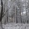 e59-p1c3skt33i1h8grajkmkeoucud7.jpg