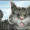 800-p1c2lue5f44mh191sln1r7tfs16.jpg