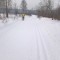 7f3-p1c6pc07ng1dkn71rlta1gqjl9r7.jpg
