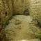 9c2-p1c4k1jvja17ubh7h1gb71jjjhe8.jpg