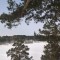dab-p1c7e3898e1dbs1m469gl6kskgb.jpg