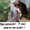 491-p1dqgfnk1e1vltkp91odt1g527034.jpg