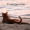 ae0-p1dc9chir95i0g30p6ob3s15cra.jpg