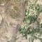 4a2-p1c8jhi15hr06qqald91tu31gng4.jpg