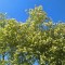 1f8-p1ce89vqou17hd1k97f9913mv1scn4.jpg
