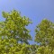 708-p1cel5a4hak1s1pga1re011cn11v77.jpg