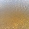 ac5-p1cd1q2sc815i61p3nopn1a0d116u5.jpg