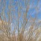 b10-p1cb9f683l6h61ib11ek18481sbr5.jpg