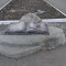 b8b-p1cbov46eh1l0u19a8m0s319e7ec.jpg