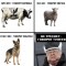 e93-p1ca59ujv5dji1r0v1vqj1h3bhfs4.jpeg