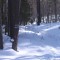 425-p1c9lrdf4t1b1b1q2c1vtbon9i3s4.jpg
