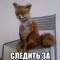 cee-p1cbgrbbe1130g1c0g18vo1lfdid44.jpg