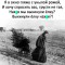 ad9-p1cducfjh4l1u82k1f8etu41a3p4.jpg