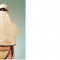 500a08dfc3ce2b715e5038b87c07c8d0-bezymyannyy.png