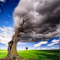 836-p1d8d36k4c1oebtj9f1f171t1qb54.png