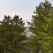1f5-p1chkdp2h914gp103g13n31dqn1sqt4.jpg