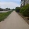 63a-p1citf6olu1g4k1u81260p0qmc67.jpg