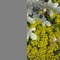 69c-p1cf2tj184kb41h6sqt117rg56n7.jpg
