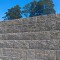 71a-p1ch2s40381sen1opgi1kj3j1cjo5.jpg